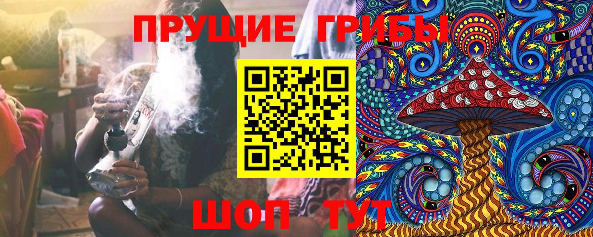 Псилоцибиновые грибы GOLDEN TEACHER Камень-на-Оби