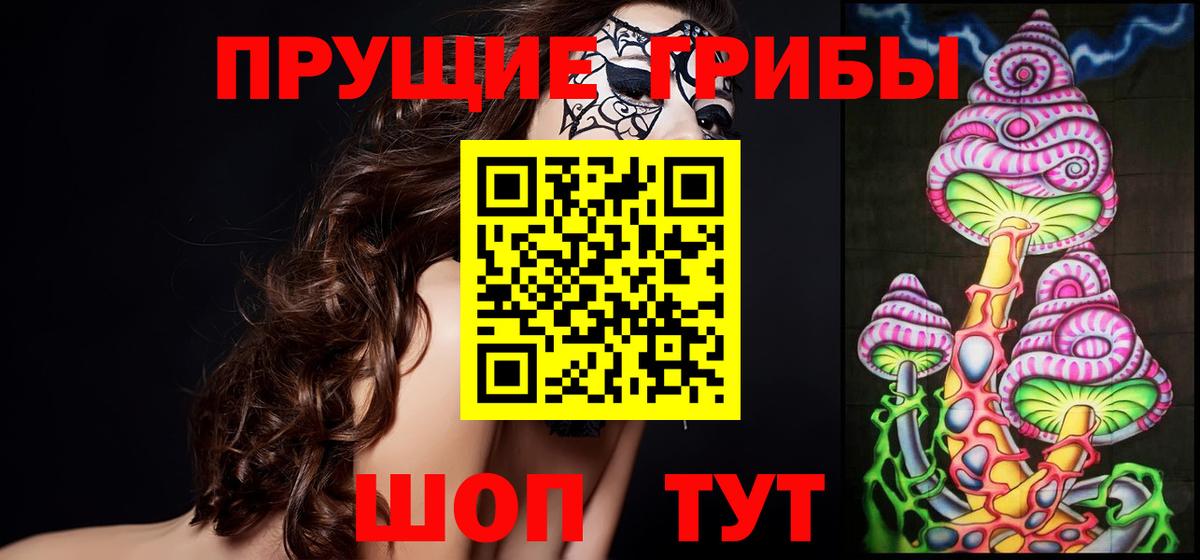 Галлюциногенные грибы Psilocybine cubensis  Вход с VPN  Камень-на-Оби 